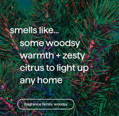 foaming hand wash - juniper + joy