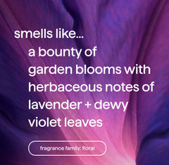 foaming hand wash refill - violet + lavender