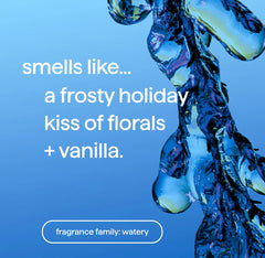 foaming hand wash - frost + flurry