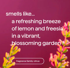 foaming hand wash - lemon + freesia