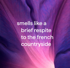 all-purpose cleaning wipes - french lavender