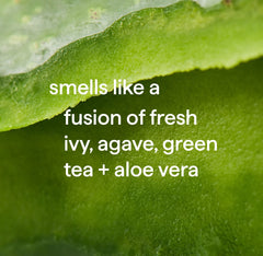 foaming hand wash - green tea + aloe