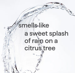 foaming hand wash - sweet water
