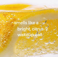 squirt + mop hard floor cleaner - lemon ginger