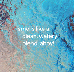 gel hand wash - sea minerals