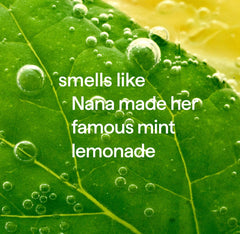 foaming hand wash - lemon mint