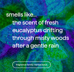 foaming hand wash - eucalyptus + rosemary