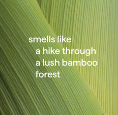 antibacterial all-purpose cleaner - bamboo